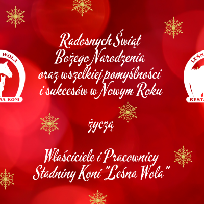 WESOŁYCH ŚWIĄT !!